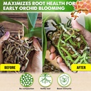 upgraded-duspro-orchid-potting-mix-for-r-4.jpg