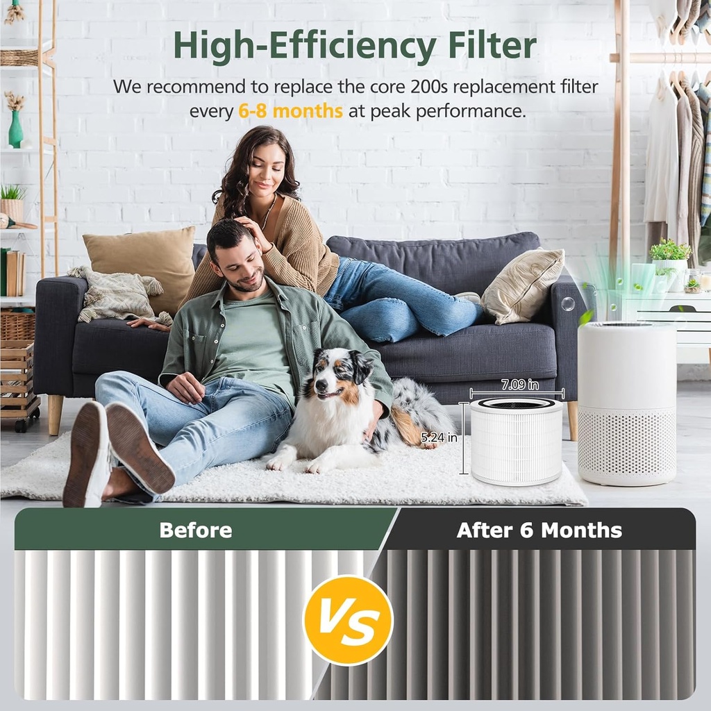 core-200s-hepa-replacement-filters-compa-5.jpg