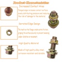 820pcs-metric-flange-bolt-assortment-bol-5.jpg