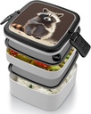 bento-box-for-adult-cute-raccoon-bento-l-5.jpg