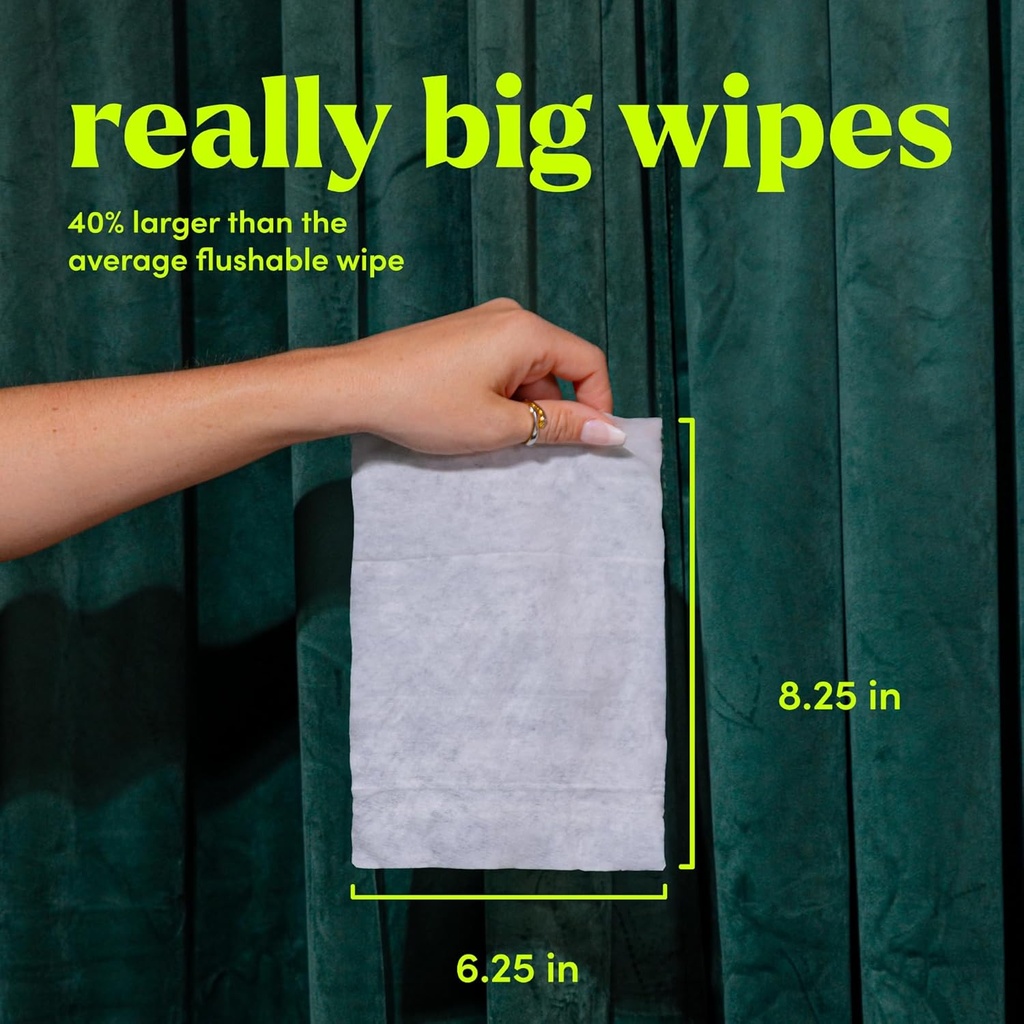 goodwipes-flushable-butt-wipes---vitamin-2.jpg