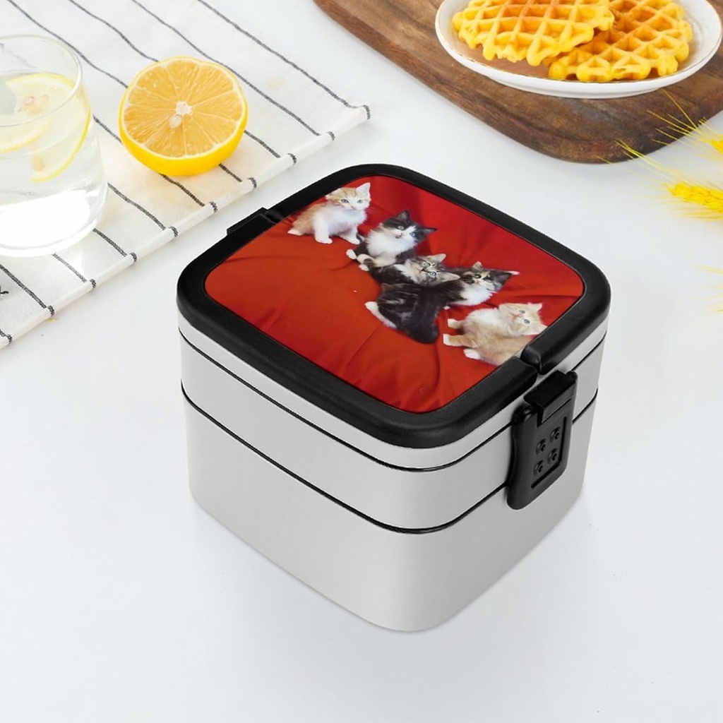 cat-bento-box-adult-lunch-box-all-in-one-6.jpg