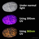uvbeast-v3-365nm-black-light-uv-flashlig-4.jpg