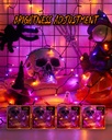66ft-purple-orange-halloween-lights-outd-5.jpg