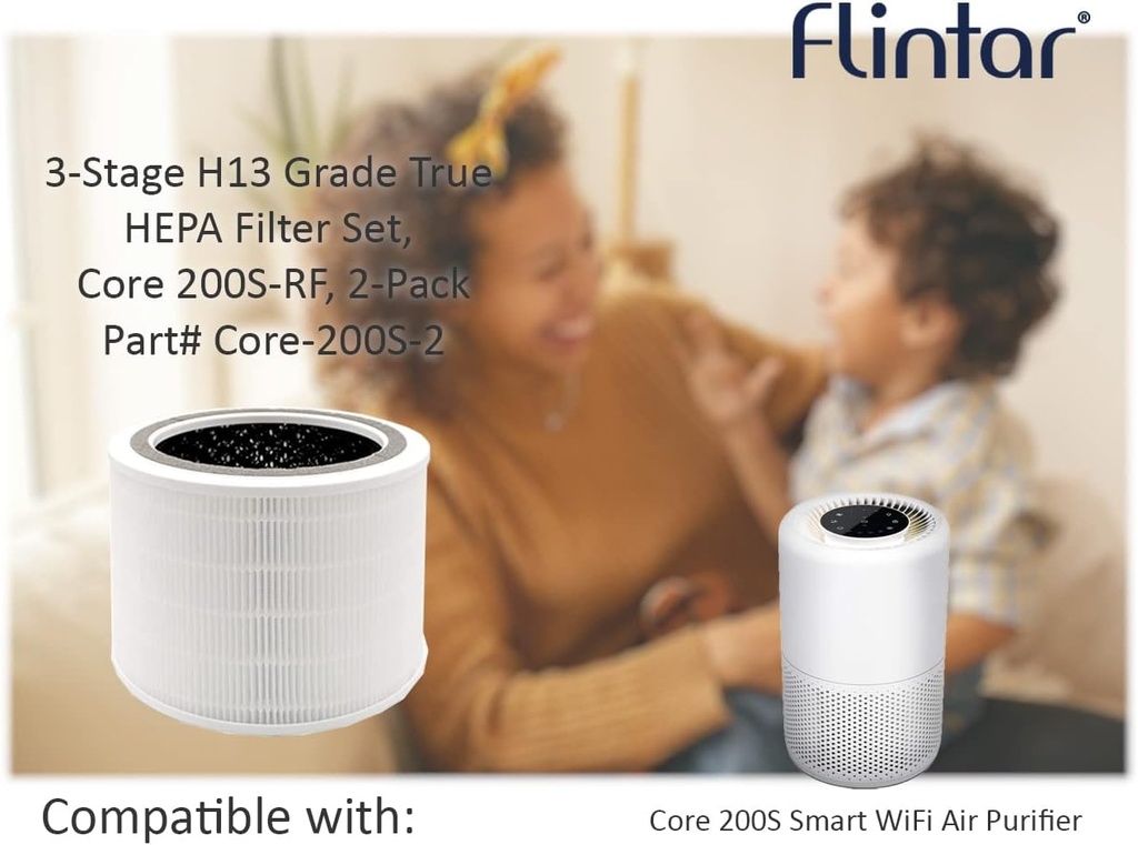 flintar-core-200s-replacement-filter-com-2.jpg
