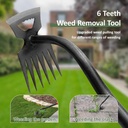 weed-puller-manual-weed-remover-tool-wit-2.jpg