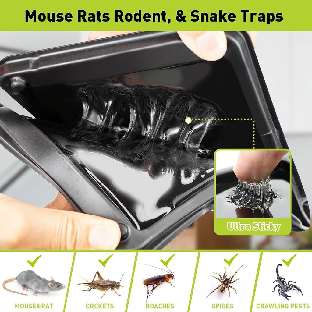 glue-mouse-traps-indoor-for-home-rat-tra-2.jpg