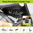 glue-mouse-traps-indoor-for-home-rat-tra-2.jpg