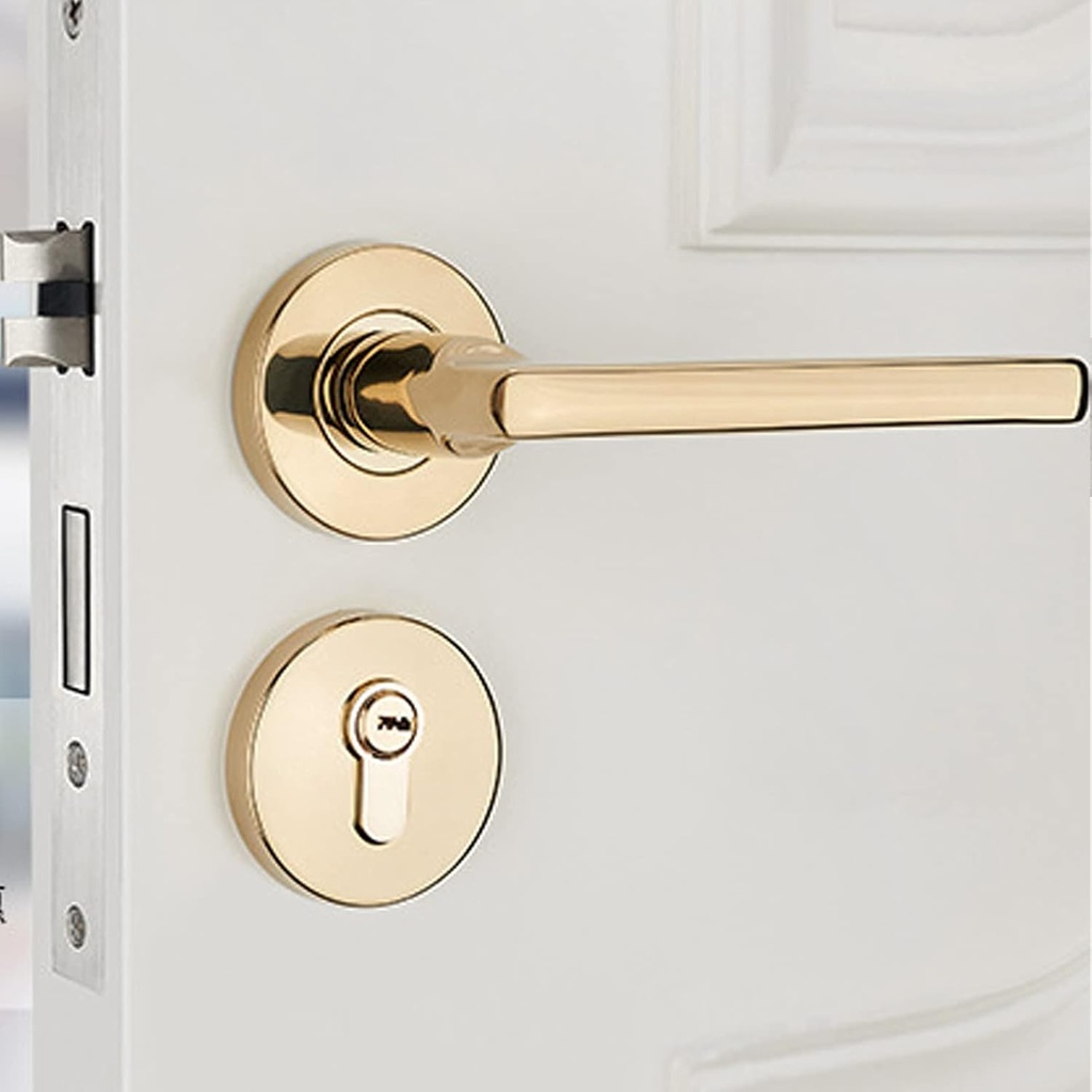 door-lever-lock-golden-simple-collisionp-4.jpg