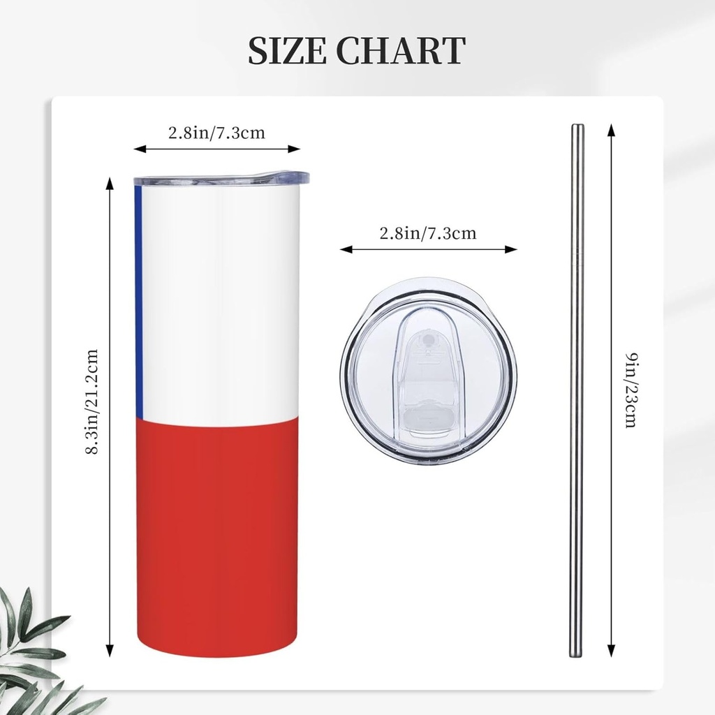20ozflag-of-chile-stainless-steel-straw--5.jpg