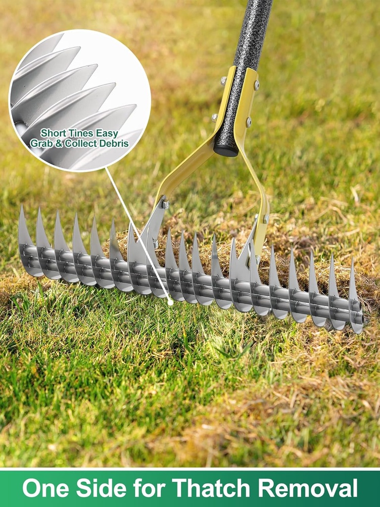 thatch-rake-2-in-1-lawns-manual-dethatch-2.jpg