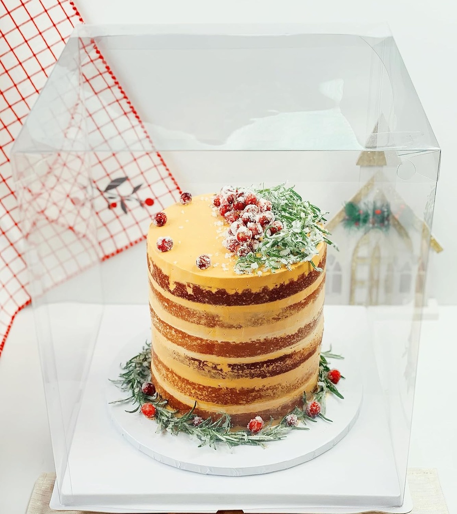 sweet-degrees-clear-plastic-cake-box-14x-6.jpg