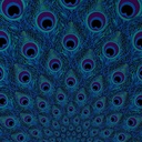 cafepress-peacock-feather-pattern-18x18--2.jpg