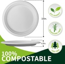 10-inch-compostable-paper-plateswhite-15-2.jpg