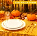 thanksgiving-plates-disposable---150-pie-3.jpg
