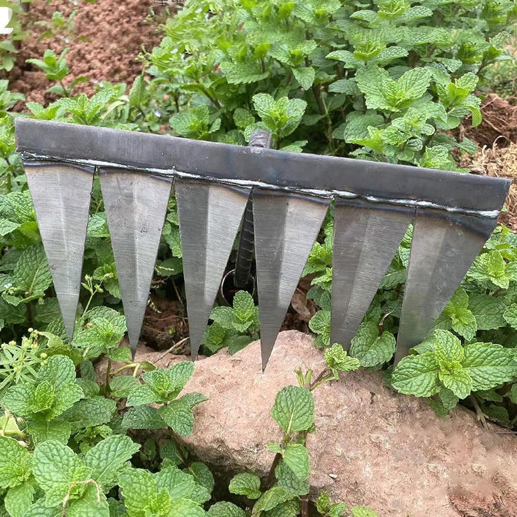 iron-rake4-tines-and-6-tines-weeding-rak-6.jpg