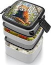 little-red-panda-bento-box-adult-lunch-b-4.jpg