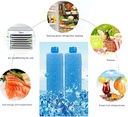 small-fan-ice-packs-4pcs-long-lasting-fr-4.jpg
