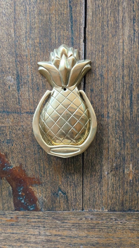 tropical-welcome-bronze-pineapple-door-k-2.jpg