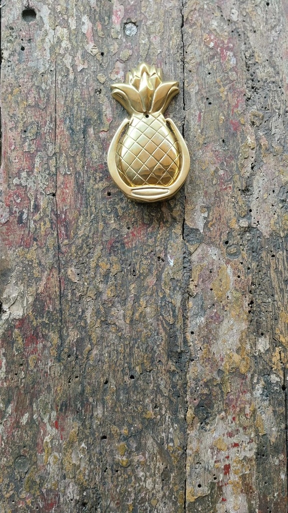 tropical-welcome-bronze-pineapple-door-k-3.jpg