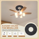 patikil-ceiling-medallion-10-od-x-4-id-p-6.jpg