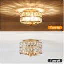 gold-flush-mount-ceiling-light-4-light-1-3.jpg