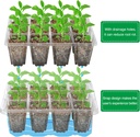 bonviee-5-packs-seed-starter-tray-with-g-5.jpg