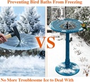 bird-bath-heater-with-water-pump-for-out-3.jpg