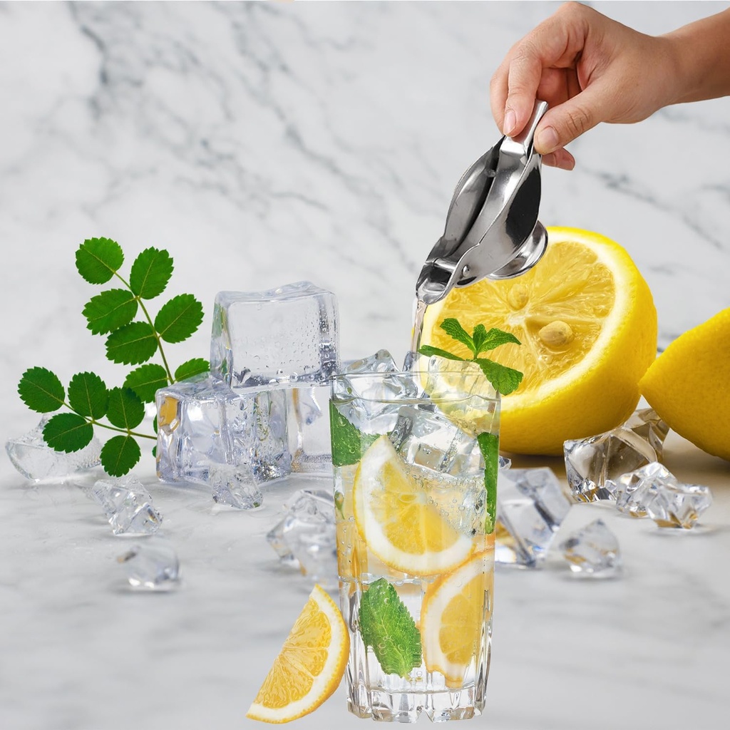 stainless-steel-bird-lemon-press-lemon-j-5.jpg