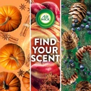 air-wick-scented-oils-05-pumpkin-spice-5.jpg