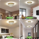 gold-crystal-chandelier-flush-mount-ceil-2.jpg