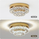 gold-crystal-chandelier-flush-mount-ceil-5.jpg