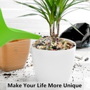 2lb-succulent-and-cactus-colorful-pebble-2.jpg