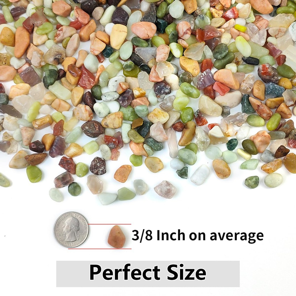 2lb-succulent-and-cactus-colorful-pebble-4.jpg