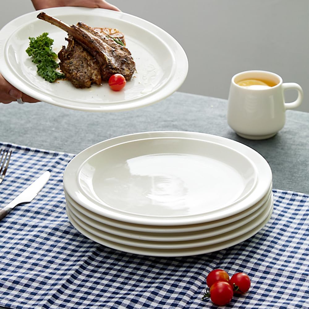 105-inch-porcelain-dinner-plate-set-of-6-6.jpg
