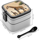 bento-lunch-box-for-women-lunch-containe-2.jpg