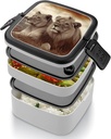 african-lion-and-lioness-bento-box-doubl-5.jpg