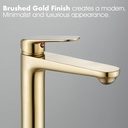 brushed-gold-bathroom-vessel-faucet-sing-3.jpg