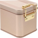 tinplate-storage-box-for-cookies-and-tre-5.jpg