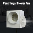 pp250-centrifugal-fan---2300m3h-high-spe-5.jpg