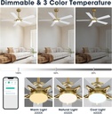 wingbo-60-smart-ceiling-fan-with-lights--6.jpg