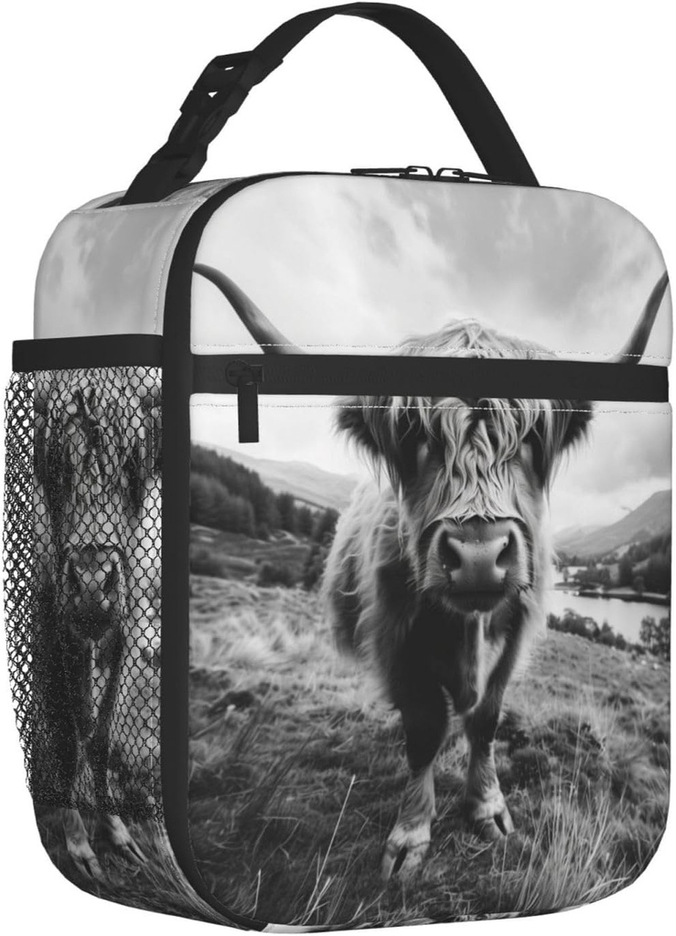 highland-cow-lunch-box-for-kids-aldults--2.jpg