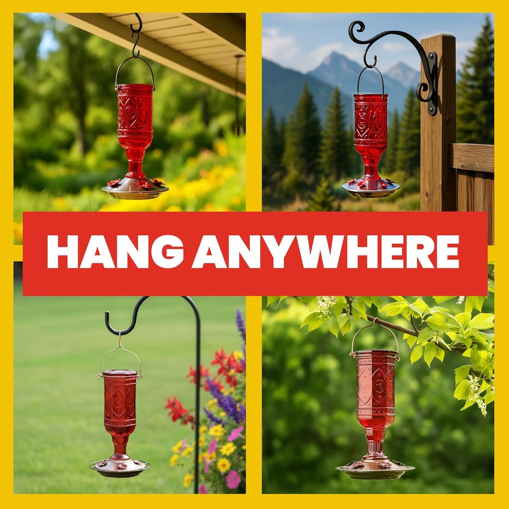 more-birds-red-jewel-hummingbird-feeder--6.jpg