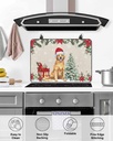 christmas-countertop-burners-protection--5.jpg