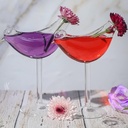 suprobarware-cocktail-glass---bird-glass-4.jpg