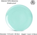 kx-ware-melamine-plates-105-inch-dinner--2.jpg