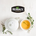 herbacil-arnica-herbal-tea-caffeine-free-4.jpg