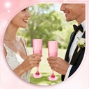 plastic-champagne-flutes-12pcs-red-wine--5.jpg