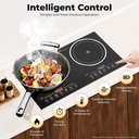 double-induction-cooktop-2400w-110v-buil-4.jpg