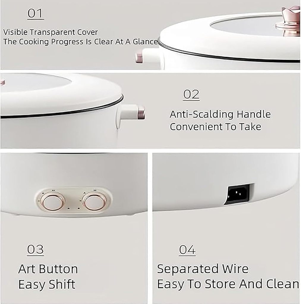 four-grid-multifunctional-stew-pot-elect-4.jpg